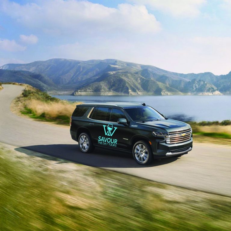 Private Wine Tours A fluffy white dog sits on a leather seat in a car's back interior.